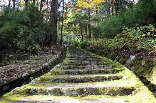 Stone staircase with a moss at a park in Hakone